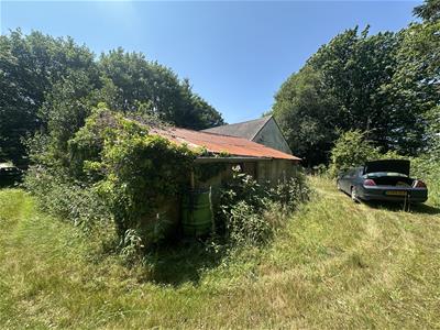 Picture 15